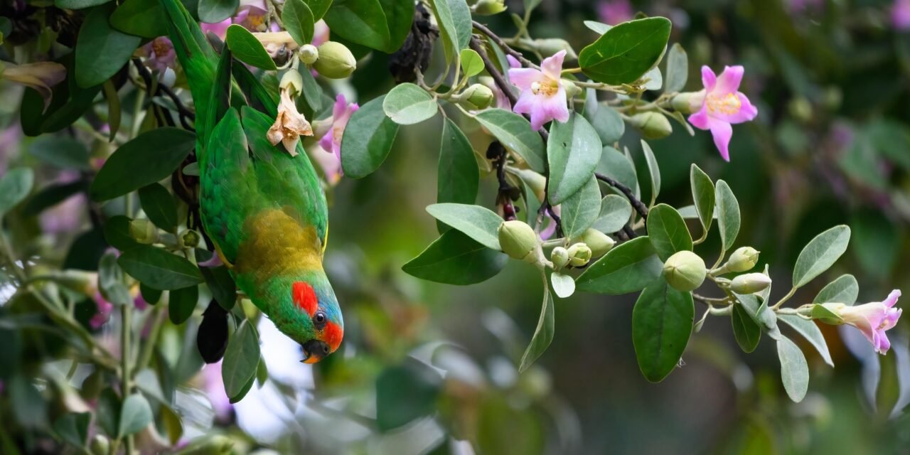 Northern Pakistan Hidden Beauty Nature